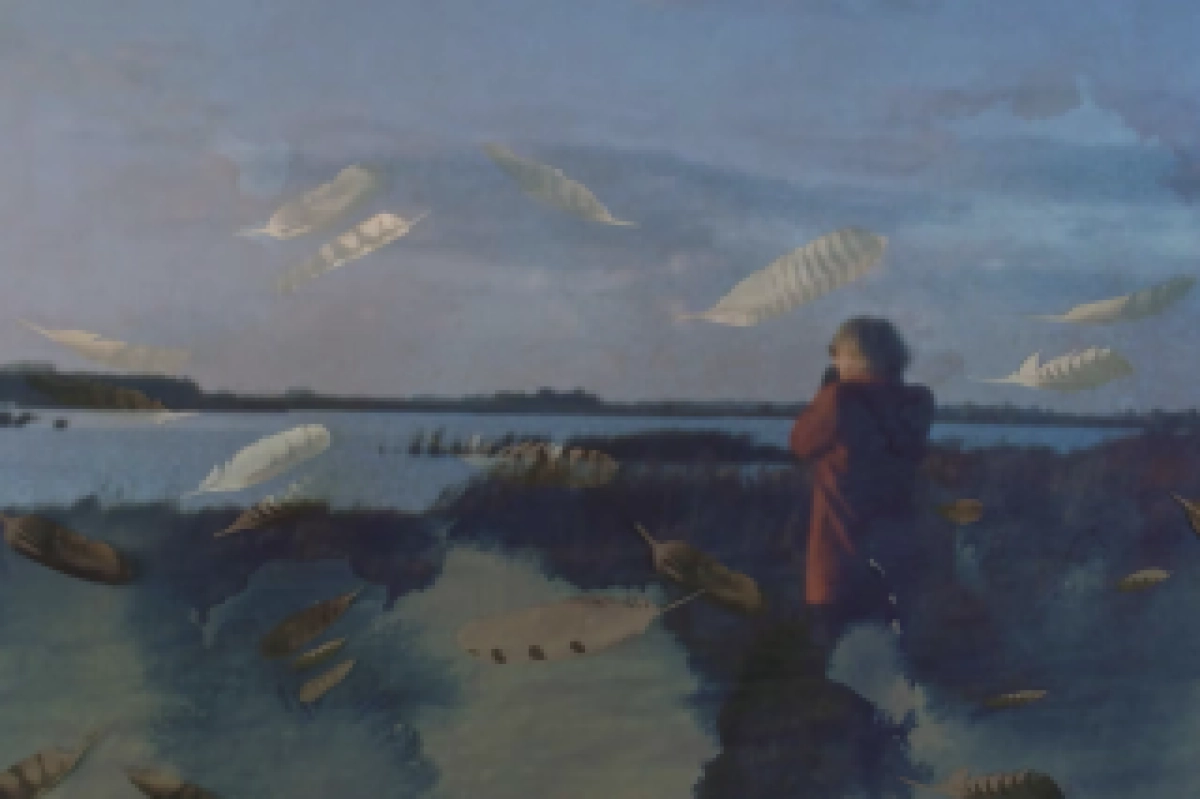 Cinema Nova | Openluchtbioscoop